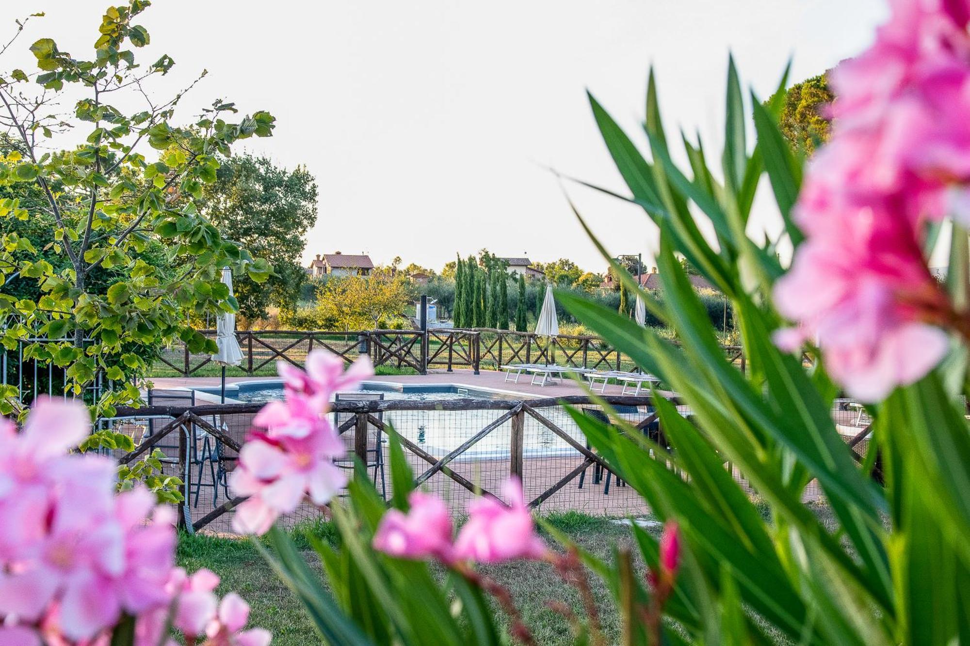 Agriturismo La Pergola Кастільйоне-дель-Лаго Екстер'єр фото